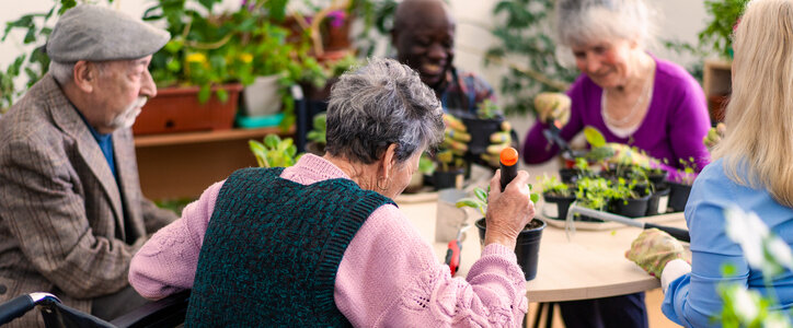 Elderly people planting plants together